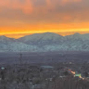 Meet your Posher, Isabella